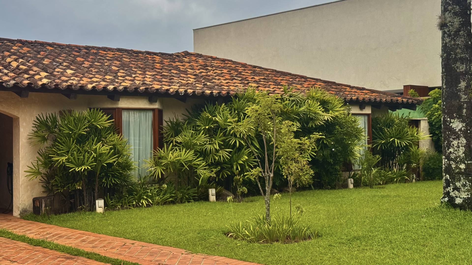Casa à venda no Alphaville Residencial Zero com 900 m², adega, pomar e piscina