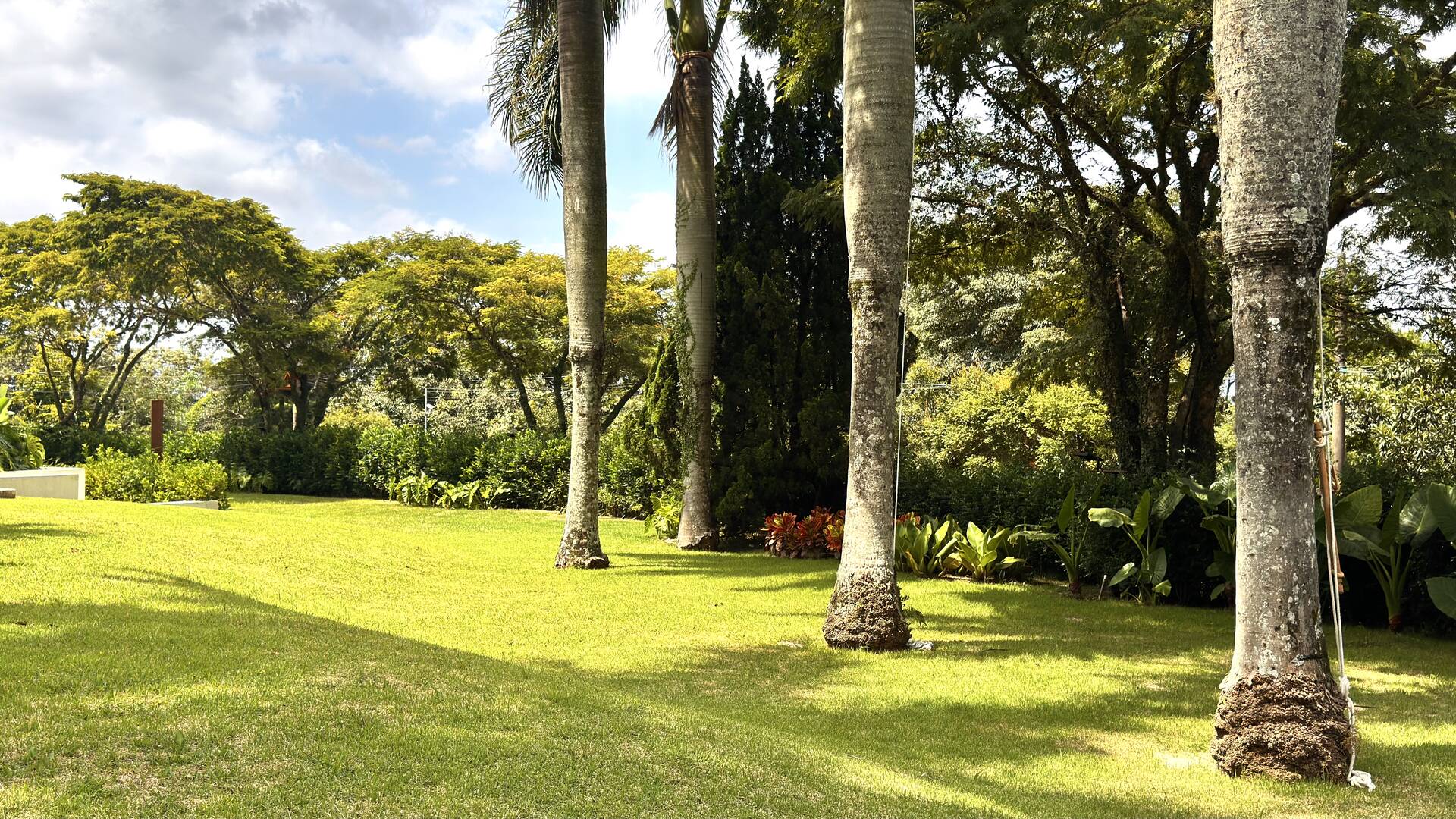 Casa com 5 suítes, terreno de 2.500 m² e vista aberta à venda no Alphaville 8