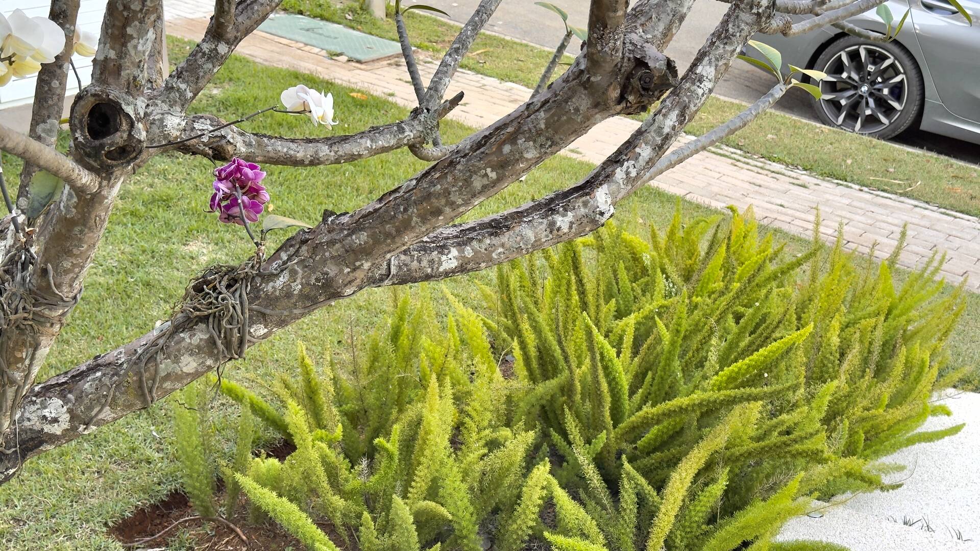 Casa à venda no Tamboré 10 com 4 suítes, área gourmet integrada e 539 m²