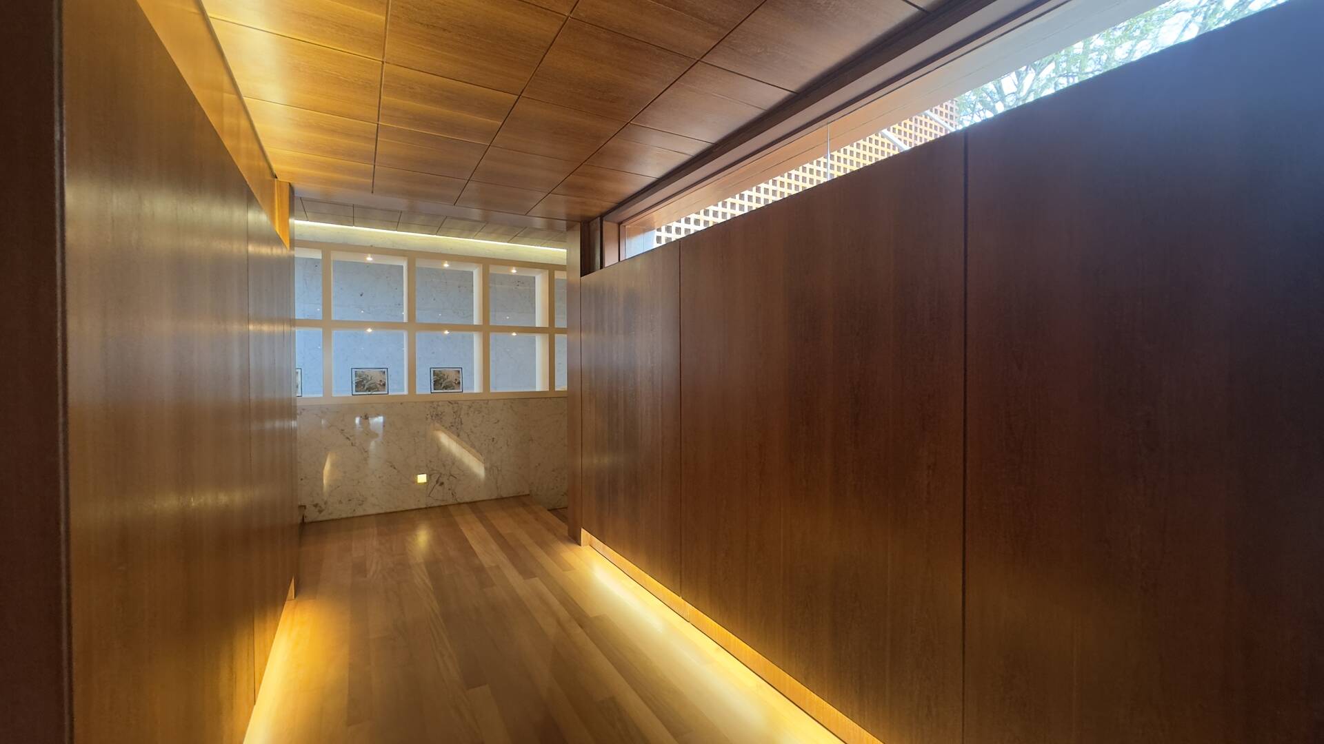 Casa Contemporânea com Vista Permanente, Piscina com Raia e Projeto Autoral em Alphaville