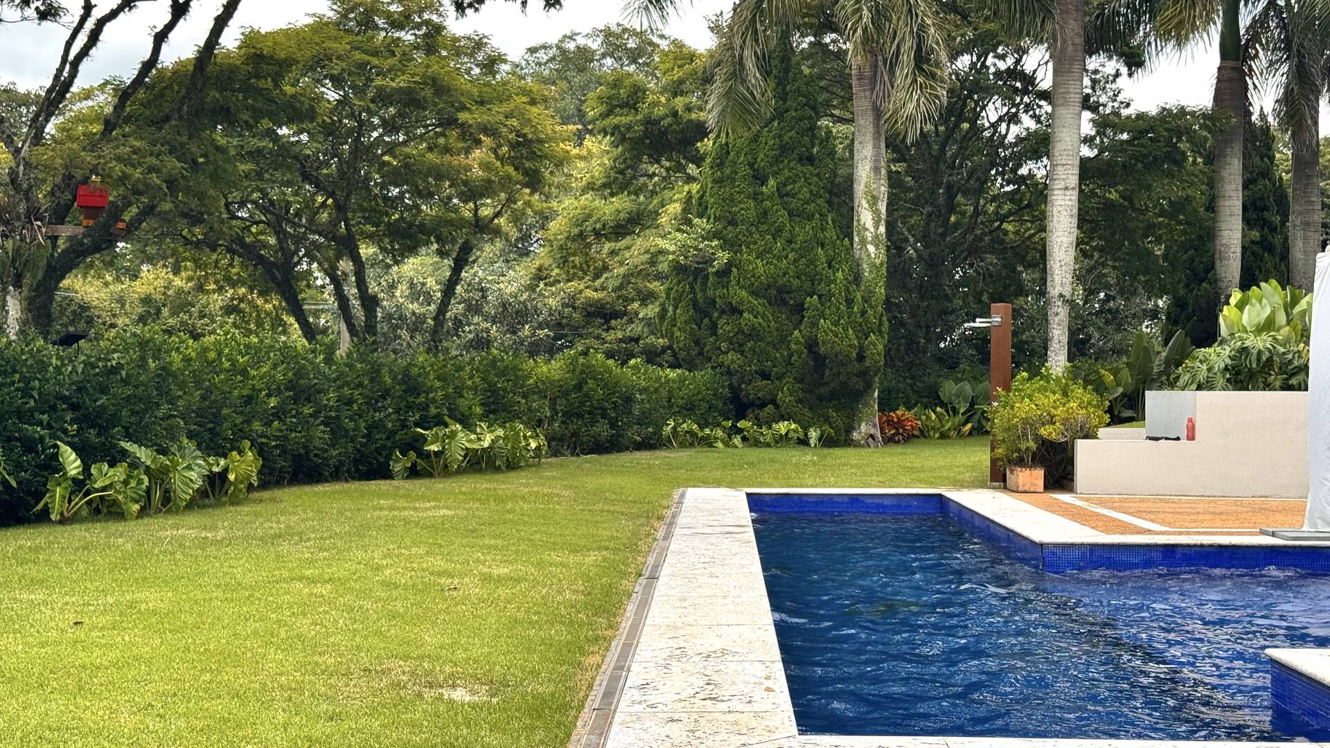 Casa com 5 suítes, terreno de 2.500 m² e vista aberta à venda no Alphaville 8