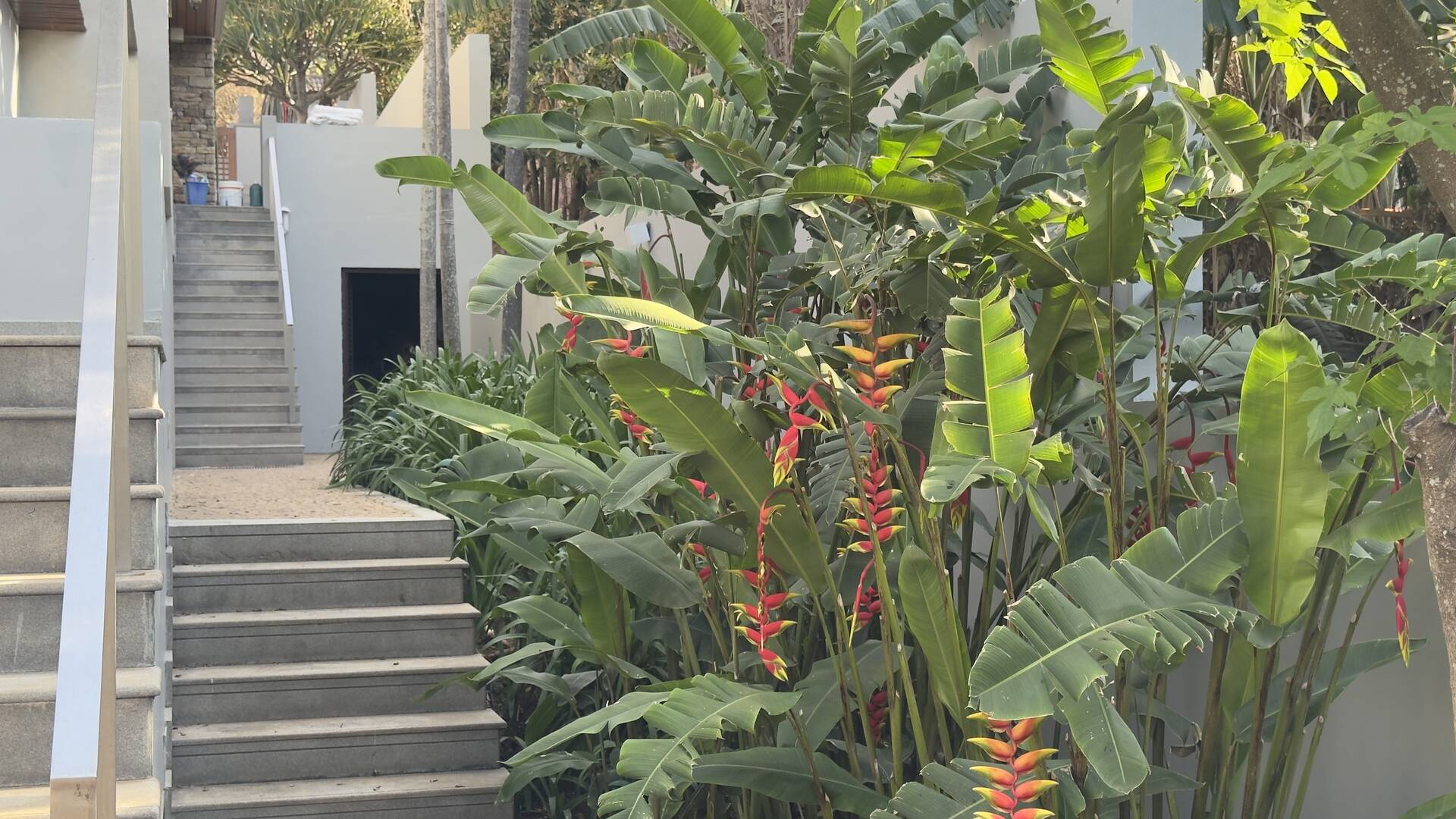 Casa Contemporânea com Vista Permanente, Piscina com Raia e Projeto Autoral em Alphaville