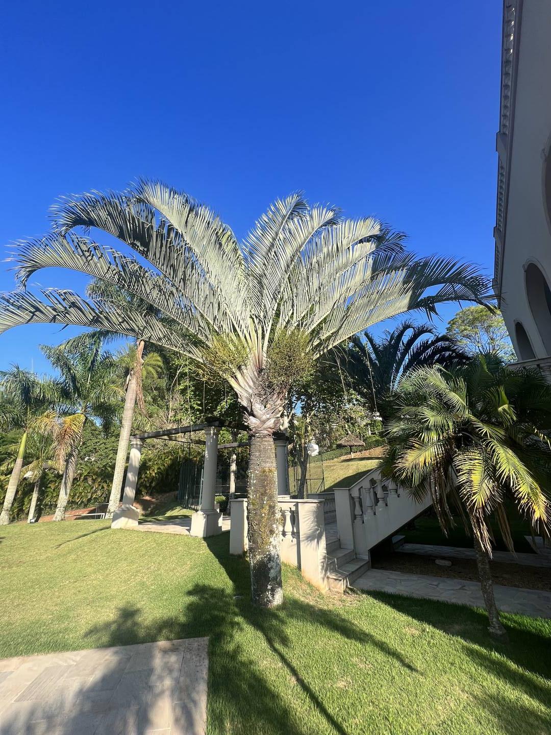 Casa esquina Tamboré 1 com 1500m2 de área não edificante